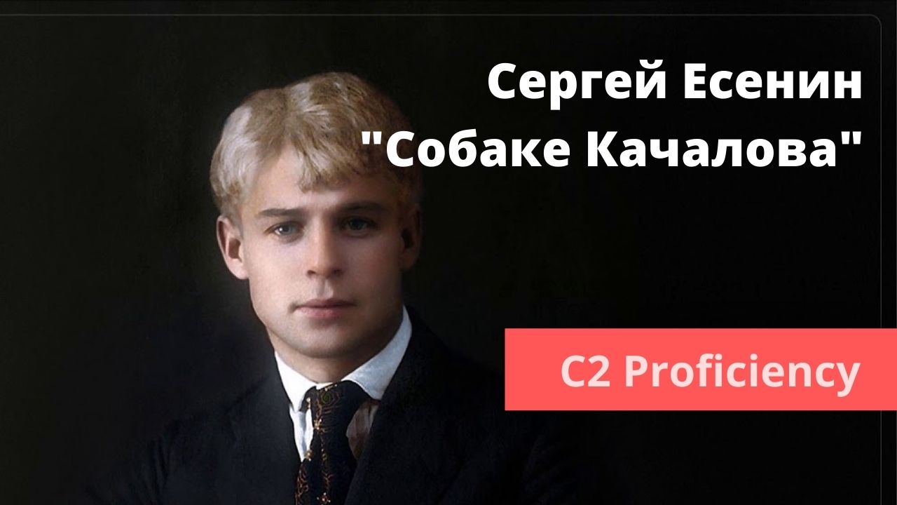 С. Есенин «Собаке Качалова» С2 | NovaMova Online