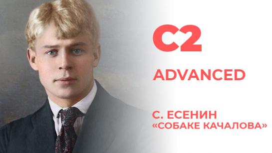 Picture of С. Есенин «Собаке Качалова»